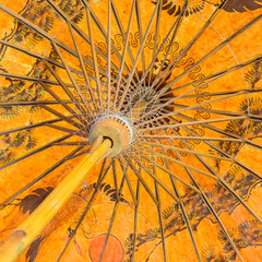 Bamboo structure of handmade umbrella