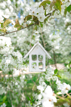 Little wooden house in Spring with blossom cherry flower sakura