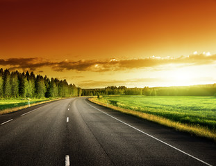 Asphalt road in forest