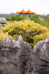 Shi Lin Stone forest national park. Yunnan. China.