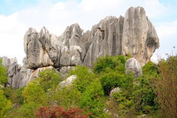Shi Lin Stone forest national park. Yunnan. China.