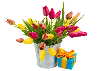 Pot with pink and yellow tulips with gift box