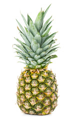 Fototapeta premium pineapple