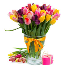fresh multicolored  tulips in vase