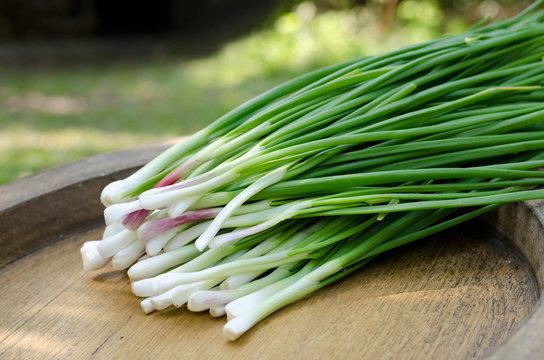 Fresh Green Shallot