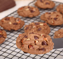 Chocolate Chip Cookie