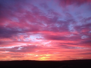 Purple Glory