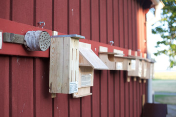 Naturum Ottenby - Sweden