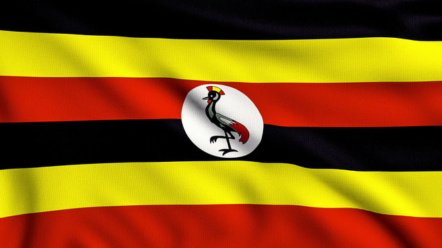Flag of Uganda looping