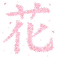 桜　さくら　花