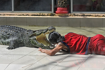 crocodile and animal trainer