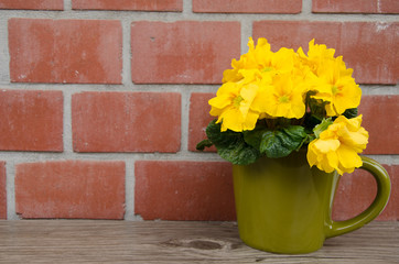 Dekoration mit Blumen Primeln gelb Ostern Geburtstag