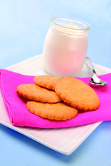 yaourt biscuit