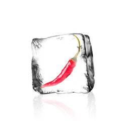 Rote Chili im Eiswürfel