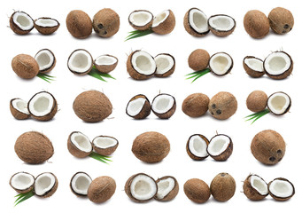 Coconuts