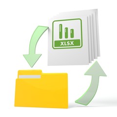 work flow file folder with xlsx sign