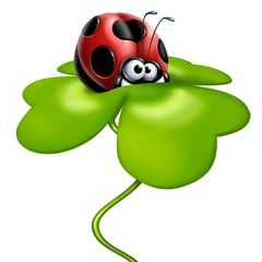 coccinella