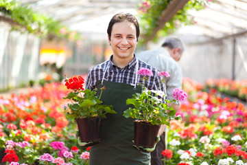 Happy gardener in a greenhouse holding flowers