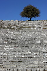 Ancient archaeological site amphitheater or amphitheatre  in Dodoni in Greece with stone seats and steps