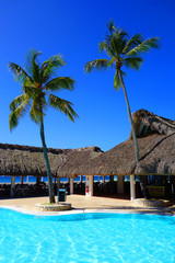 Piscine,transats et paillote dans les Caraïbes