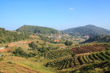 Fototapeta premium Wiejskie i górskie