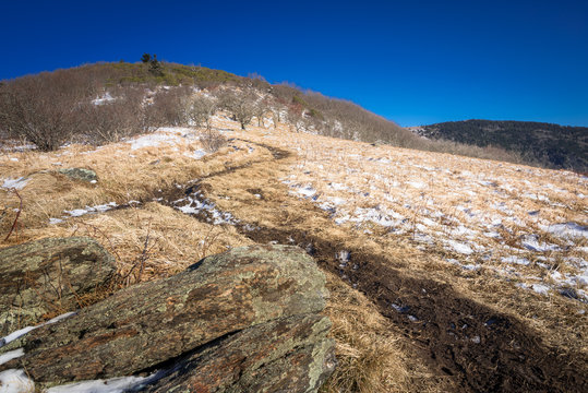Day hike to Roan Mountain