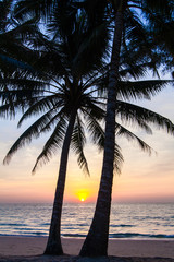 Naklejka na ściany i meble Beautiful tropical sunset with palm trees. Tropical beach. palm