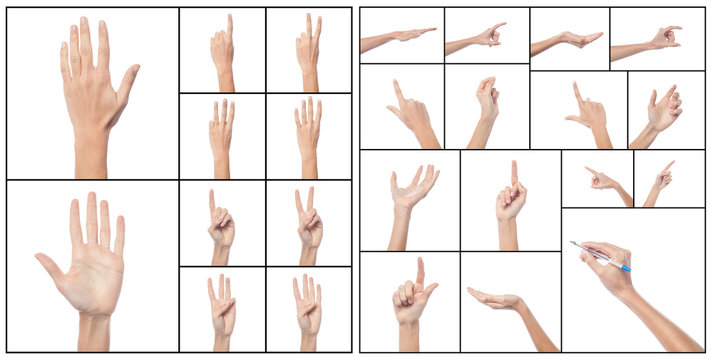 Collage of woman hands, various gestures.
