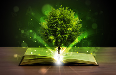 Open book with magical green tree and rays of light