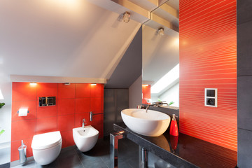Red bathroom interior