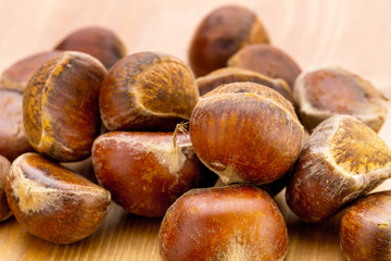 Group of chestnut