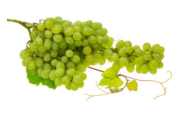 Green bright grape