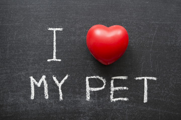 love my pet