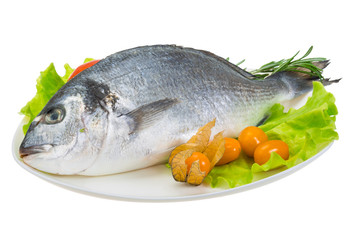 Raw dorada
