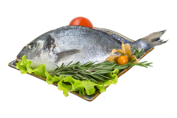 Raw dorado with herbs