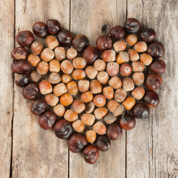 Chestnuts and acorns forming a heart on a wooden background