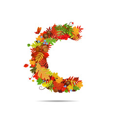 Letter from autumn colorful leaves C