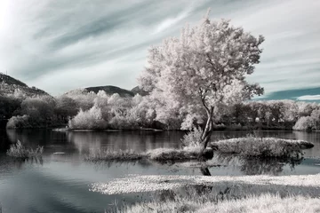 Papier Peint photo Gris paysage fluvial infrarouge