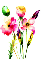 Watercolor illustration of decorative flowers