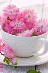 Obraz na płótnie Canvas bouquet of sakura blossoms