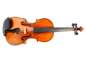 Fototapeta premium Violin isolate