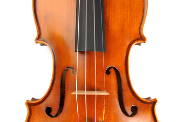 Violin isolate
