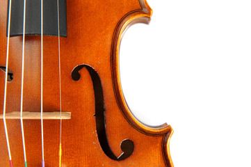 Violin isolate