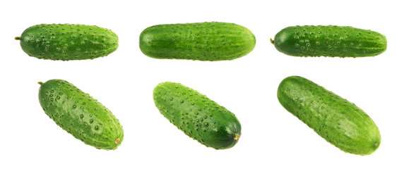 Green fresh cucumbers isolated