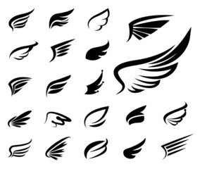 Obraz premium Wings vector set.