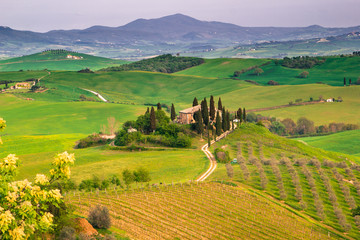Fototapeta premium Italian Landscape, Tuscany
