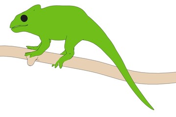 cartoon image of chameleon animal