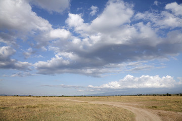 Fototapeta premium Beautiful vast Savanna grassland at Masai Mara