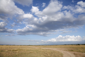 Beautiful vast Savanna grassland at Masai Mara