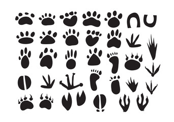Animal Footprint Vector